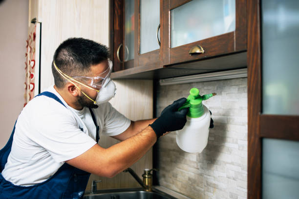 Wildlife Control Services in Paxton, IL