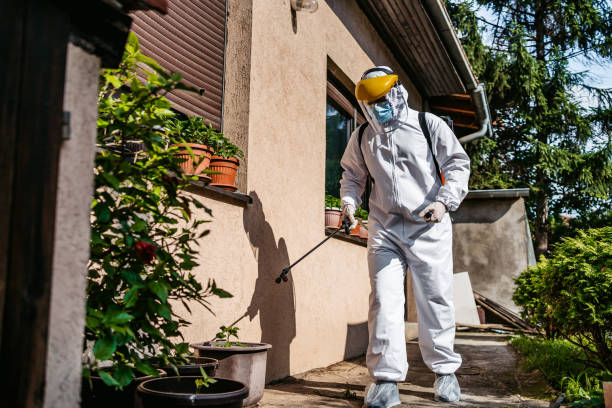 Best Rat Extermination Near Me  in Paxton, IL