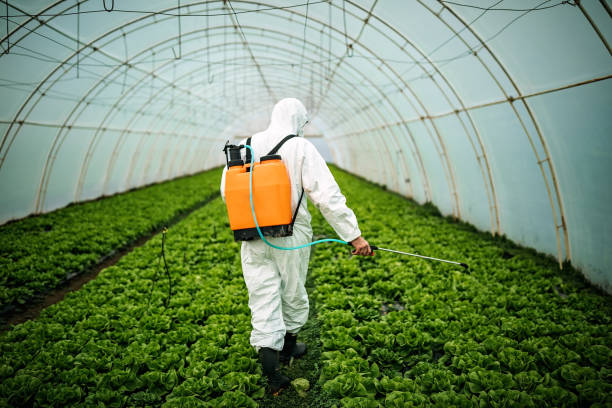 Best Affordable Pest Control Services  in Paxton, IL