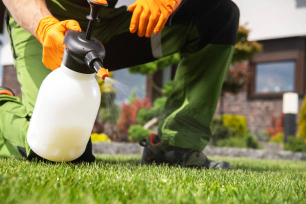 Best Local Pest Control Services  in Paxton, IL