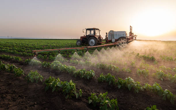 Best Best Pest Control Companies  in Paxton, IL
