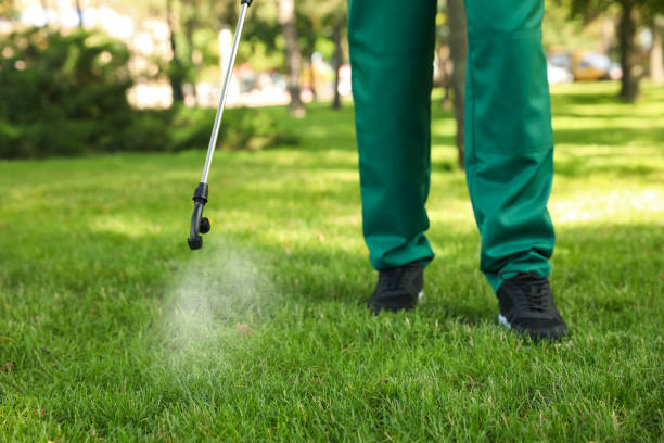 Best Pest Prevention Services  in Paxton, IL