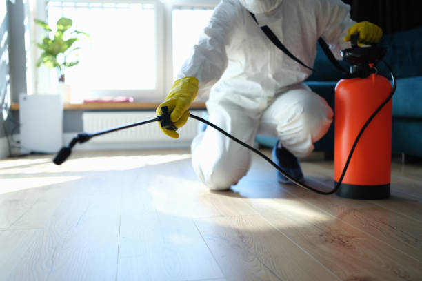 Reliable Paxton, IL Pest Control Solutions