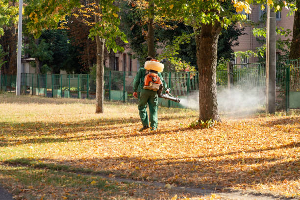 Best Emergency Pest Control  in Paxton, IL