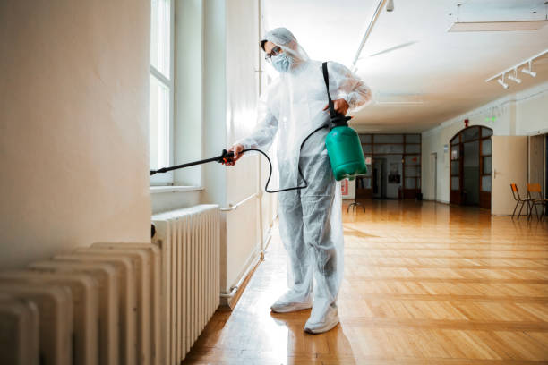 Best Flea Control Services  in Paxton, IL