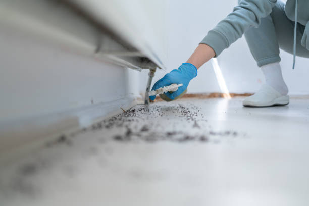 Best Wildlife Control Services  in Paxton, IL